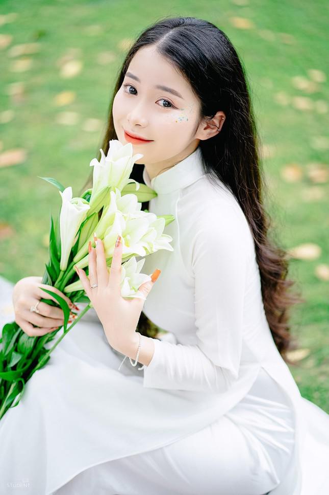 lily and white flowers