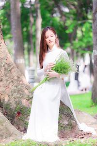 The beauty of Vietnamese