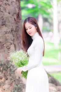 The beauty of Vietnamese