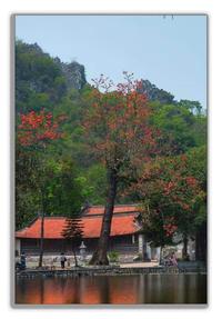 Thay Pagoda