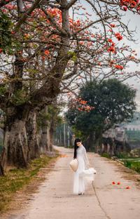 Baobax in country