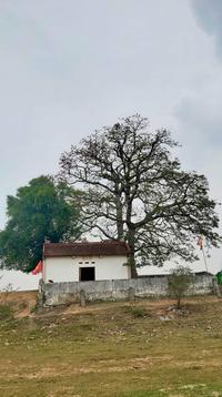 Baobax in country