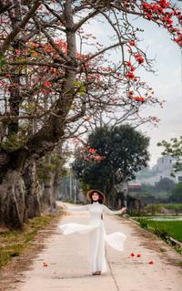 Baobax in country