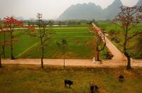 Baobax in country