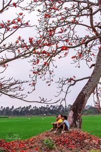 Vietnam country