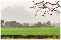 Vietnam country