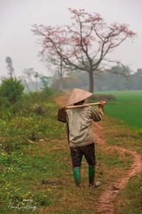 Vietnam country