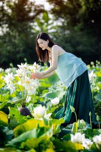 lotus garden