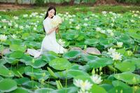 lotus garden