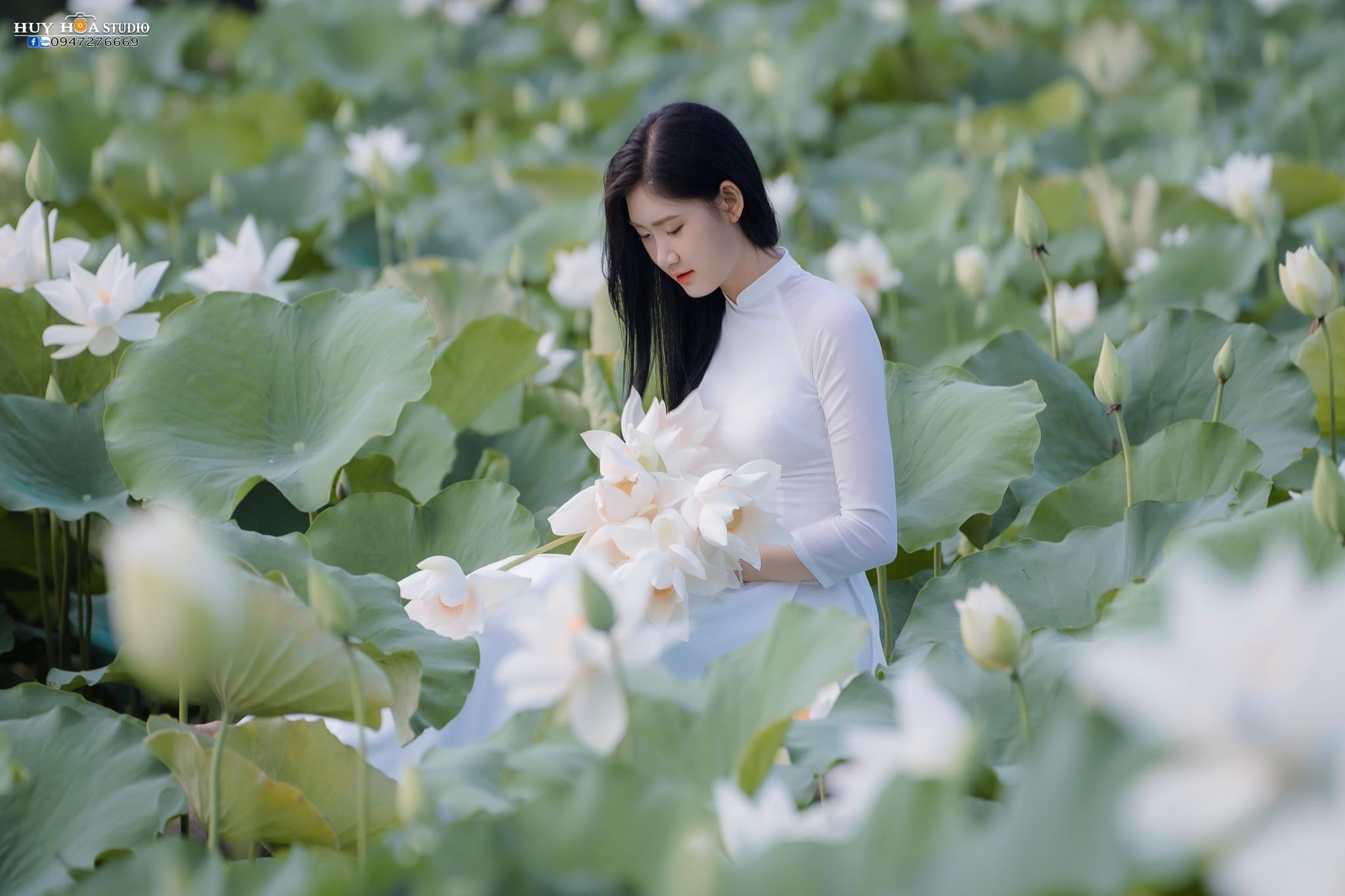 Aodai and white lotus