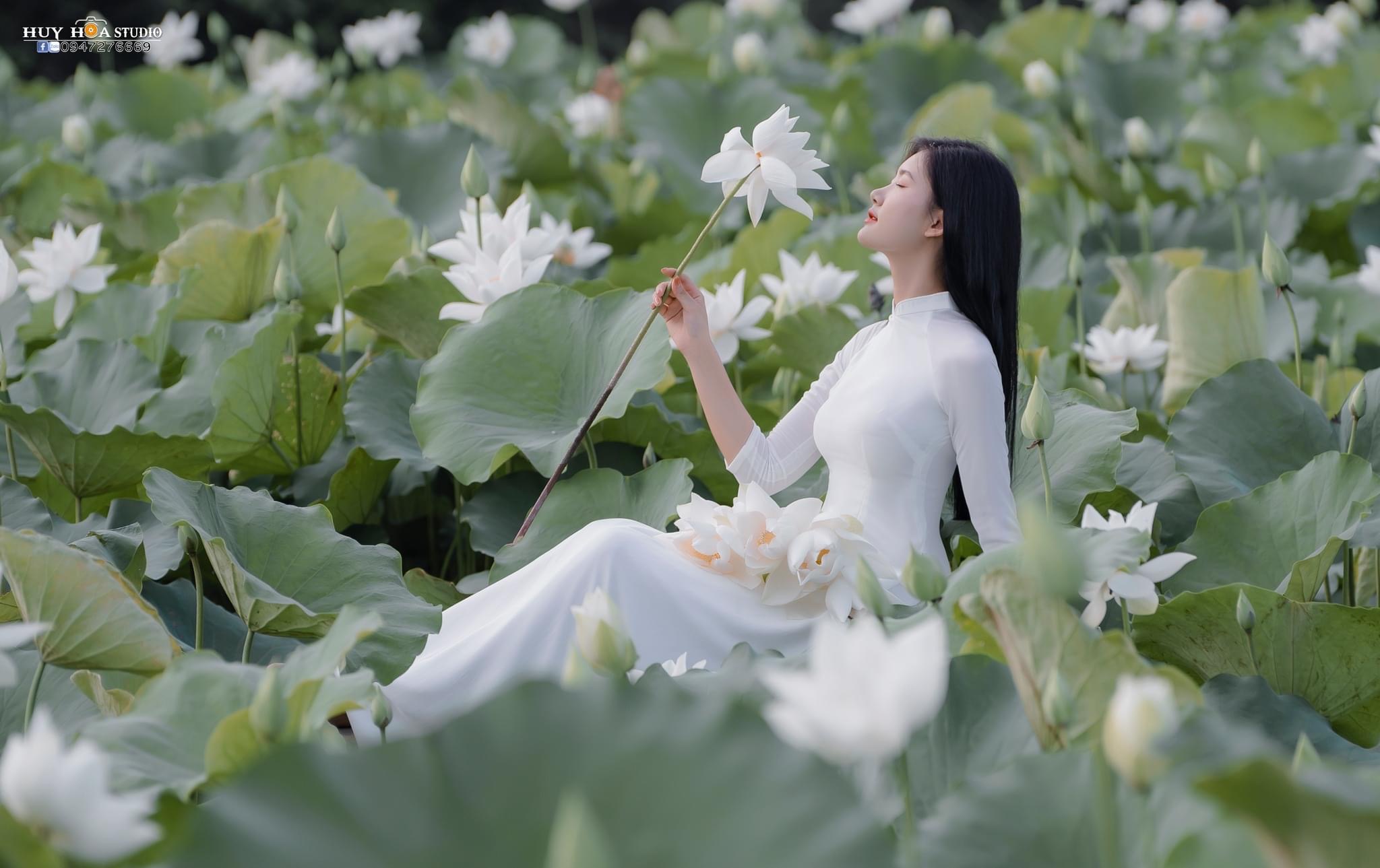 Aodai and white lotus