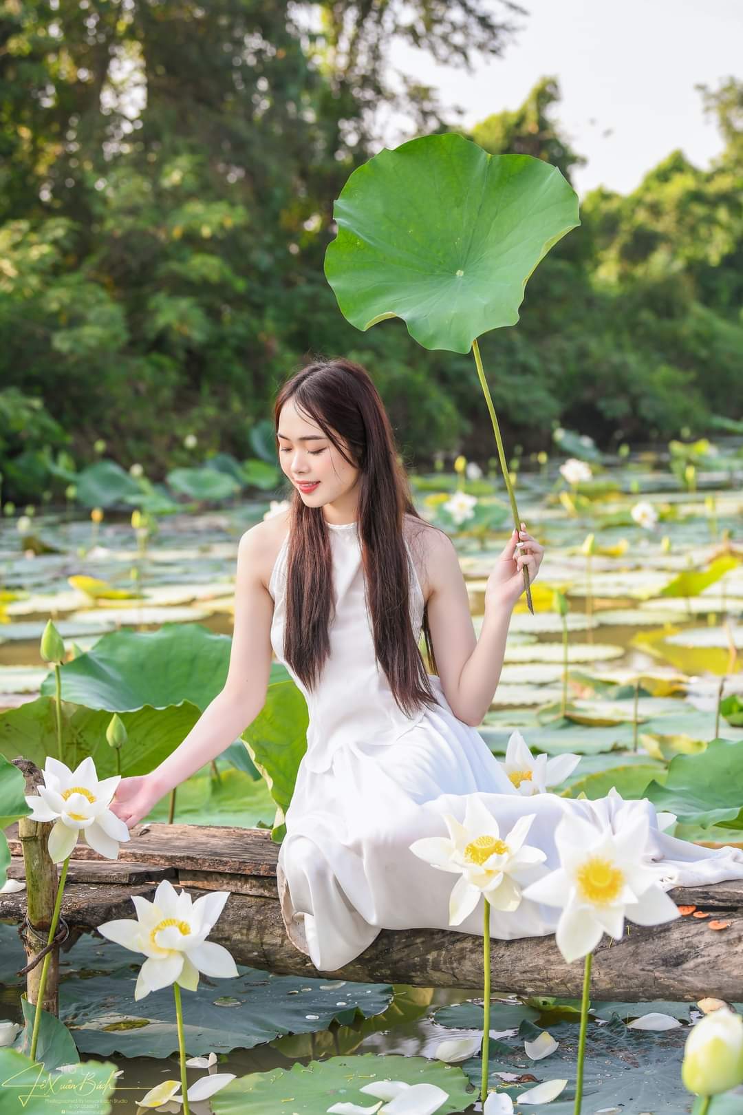 White lotus and young vietnamese
