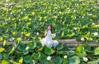 White lotus and young vietnamese