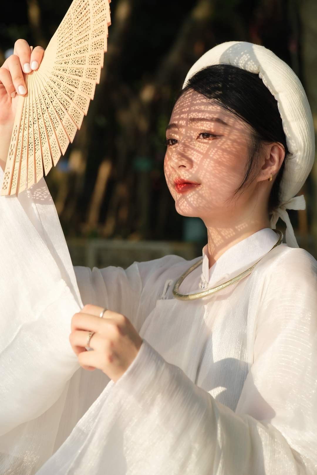 Vietnamese traditional clothes of woman