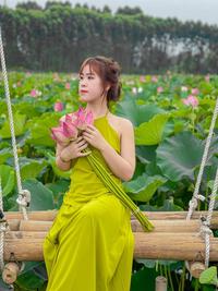 Lotus and green leaf - Phuong Dung
