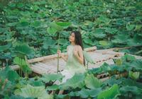 Green leaf and white bloom