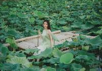 Green leaf and white bloom