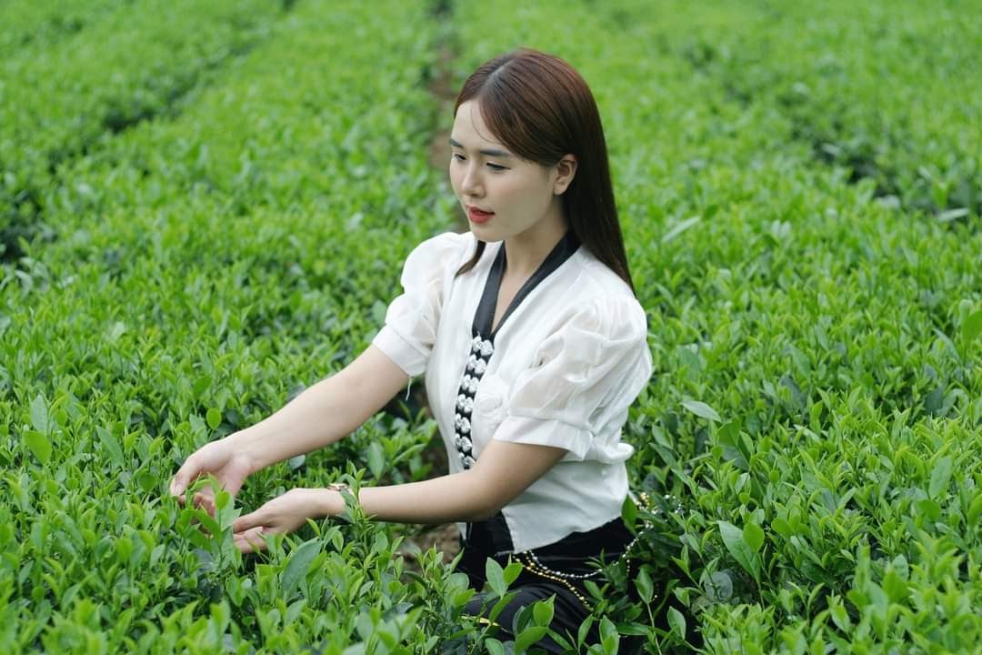 Pretty Vietnamese Girls 23.09.10.2 Green Tea